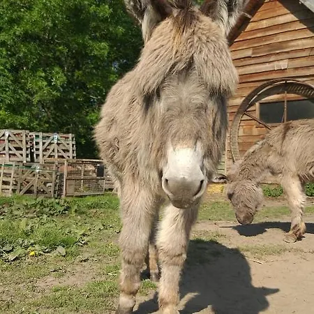 Muntershof *